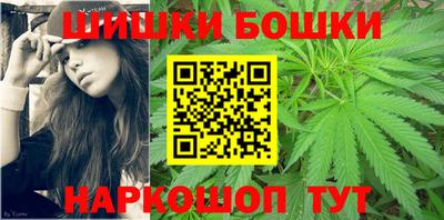 сатива Краснознаменск