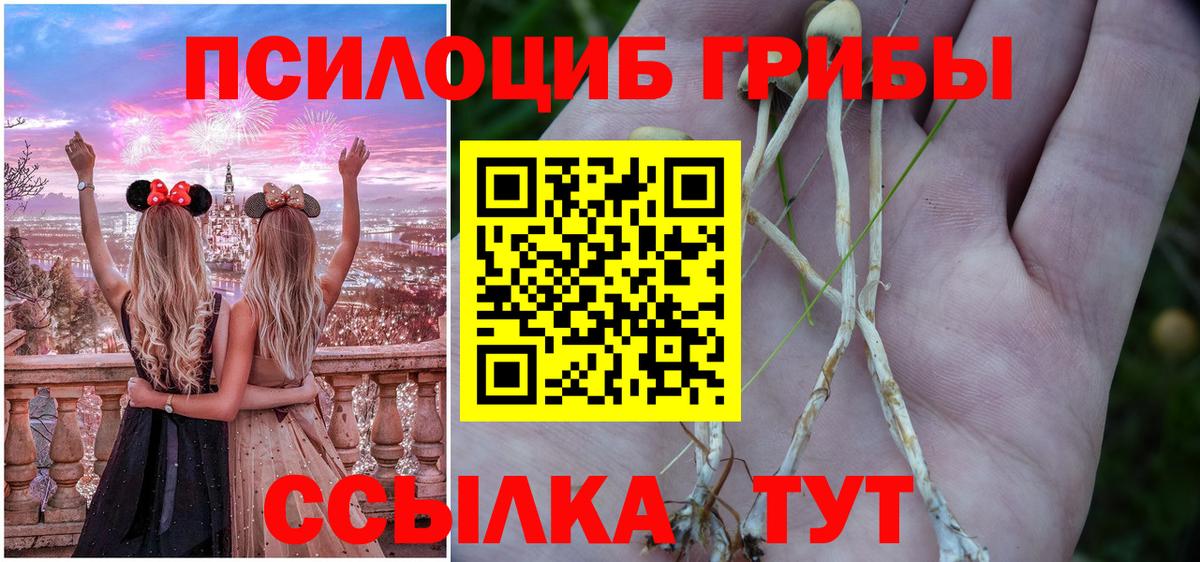 Галлюциногенные грибы Psilocybe Клинцы