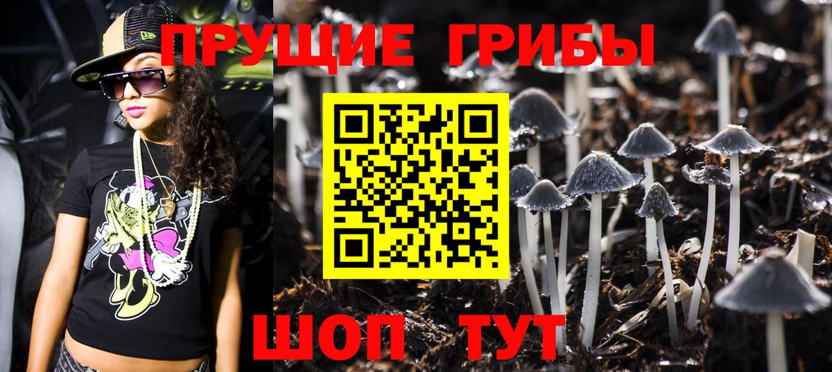 Клинцы  Псилоцибиновые грибы мухоморы  Псилоцибиновые грибы Psilocybe  Вход с VPN 